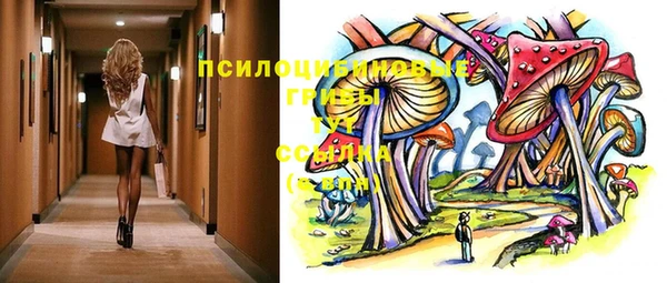 молекула духа Гусь-Хрустальный